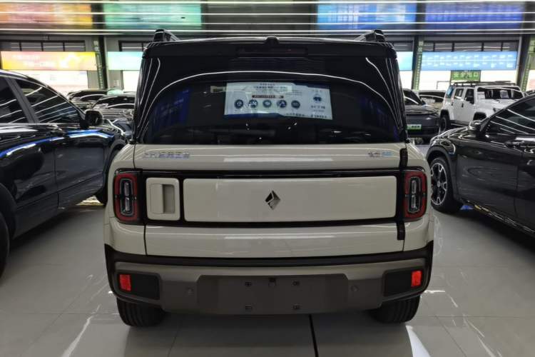 Used Baojun Spark EUV 2026 301km Flagship Edition Rear