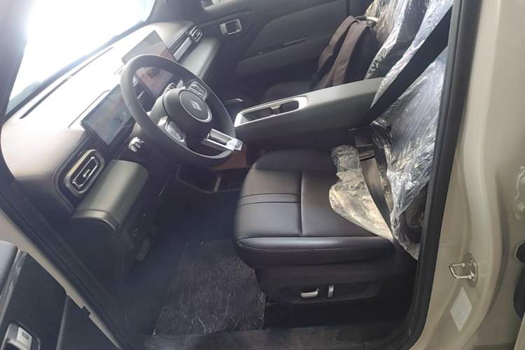 Used Baojun Spark EUV 2026 301km Flagship Edition Left Front Seat