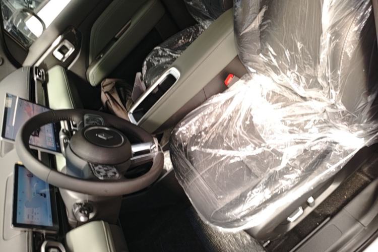 Used Baojun Spark EUV 2026 301km Flagship Edition Left Front Seat