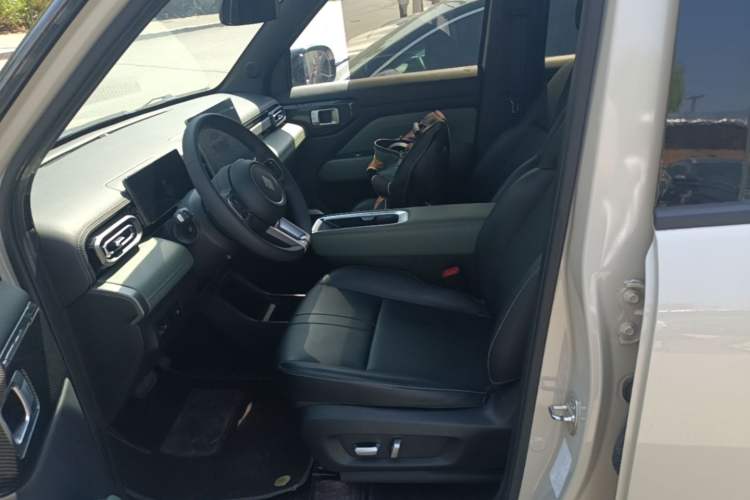Used Baojun Spark EUV 2026 301km Flagship Edition Left Front Seat