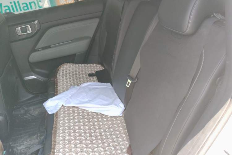Used Baojun Spark EUV 2026 301km Flagship Edition Left Rear Seat