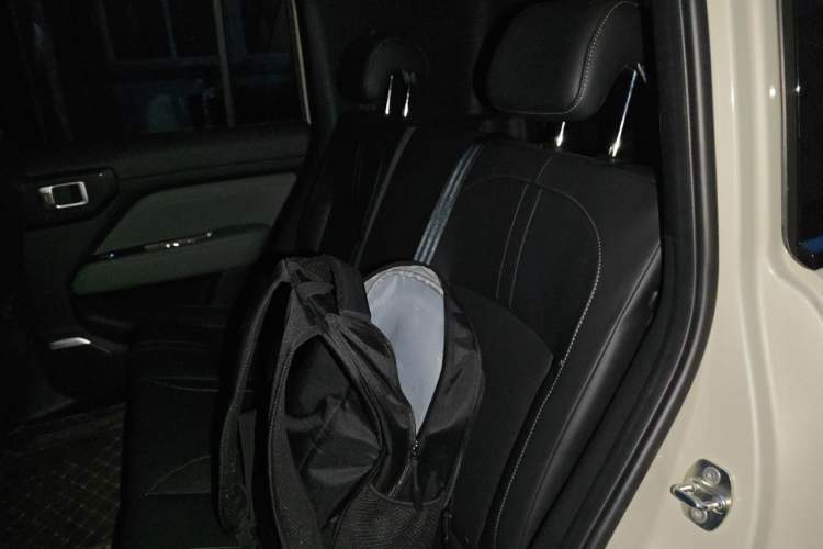 Used Baojun Spark EUV 2026 Model 401km Flagship Edition Left Rear Seat