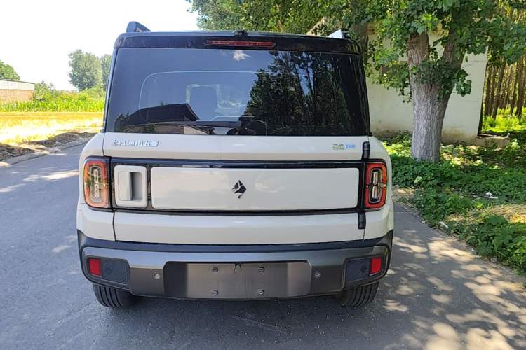 Used Baojun Spark EUV 2026 301km Flagship Edition Rear