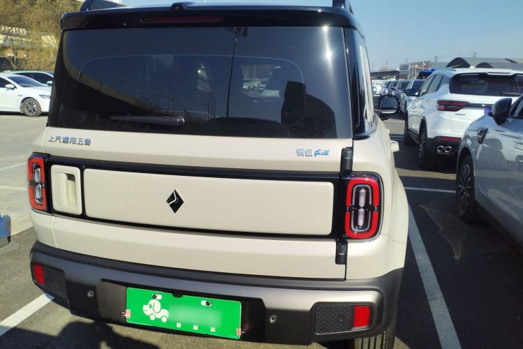 Used Baojun Spark EUV 2026 301km Flagship Edition Rear