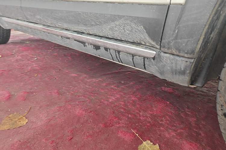 Used Baojun Spark EUV 2026 301km Flagship Edition Right Side Sill