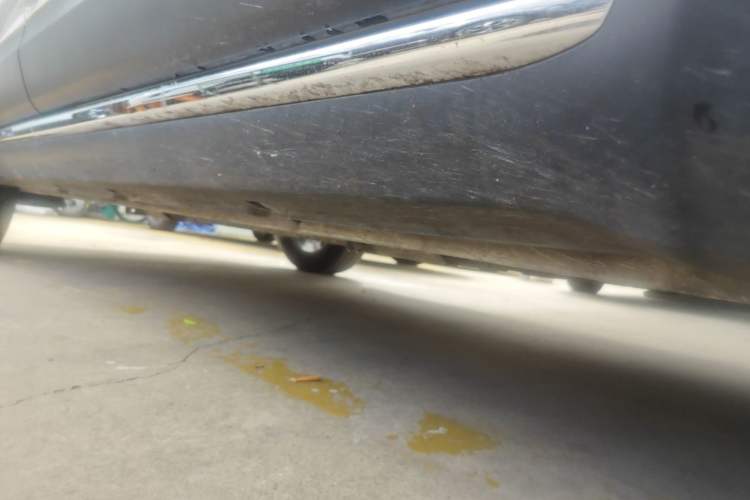 Used Baojun Spark EUV 2026 301km Flagship Edition Right Side Sill