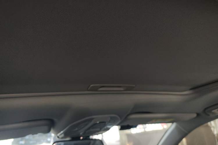 Used Baojun Valli 2021 1.5T Naqu Starry Sky CVT Flagship Model Headliner