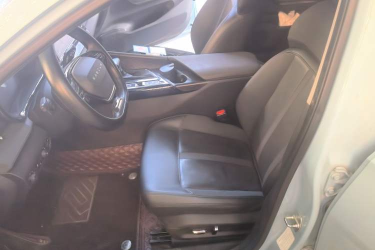 Used Baojun Valli 2021 1.5T Yili Pasture CVT Luxury Model Left Front Seat