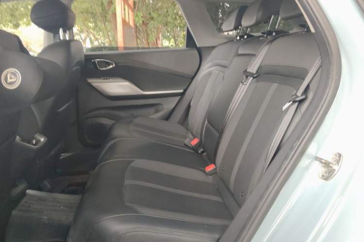 Used Baojun Valli 2021 1.5T Naqu Starry Sky CVT Flagship Model Left Rear Seat