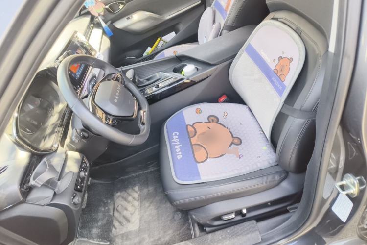 Used Baojun Valli 2021 1.5T Naqu Starry Sky CVT Flagship Model Left Front Seat