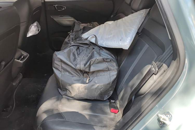 Used Baojun Valli 2021 1.5T Naqu Starry Sky CVT Flagship Model Left Rear Seat