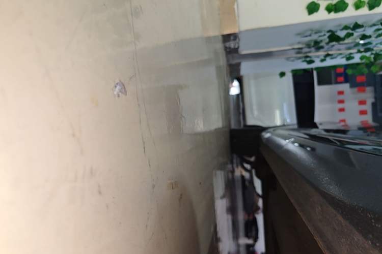 Used Baojun Valli 2021 1.5T Naqu Starry Sky CVT Flagship Model Right Side Sill