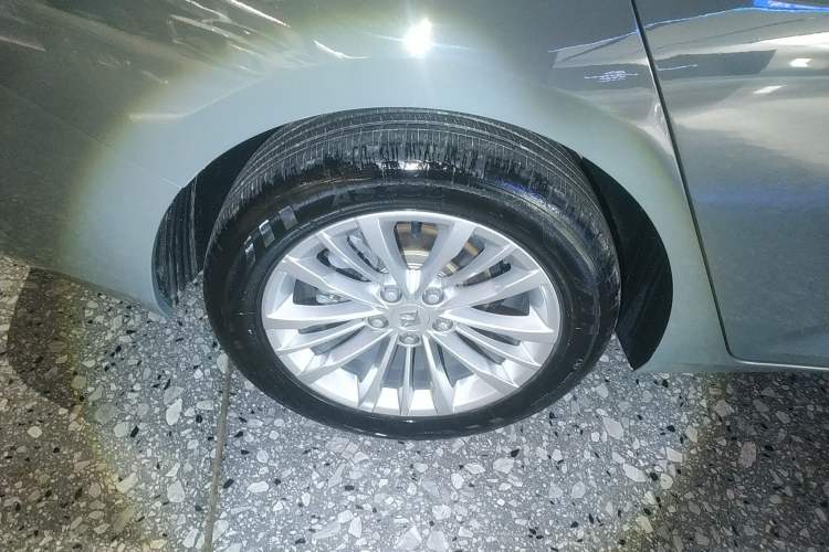 Used Baojun Valli 2021 1.5T Yili Pasture CVT Luxury Model Exterior 8
