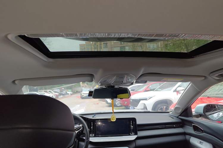Used Baojun Valli 2021 1.5T Naqu Starry Sky CVT Flagship Model Headliner