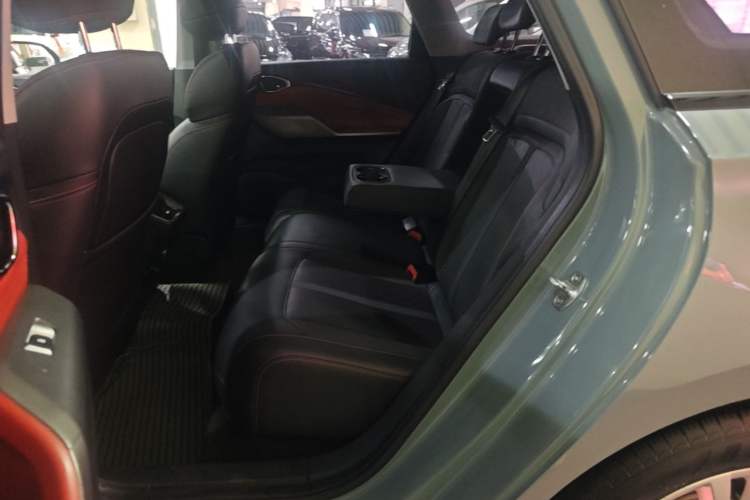Used Baojun Valli 2021 1.5T Dali Sky CVT Premium Edition Left Rear Seat
