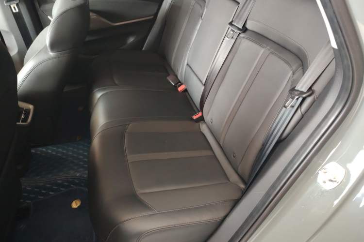 Used Baojun Valli 2021 1.5T Naqu Starry Sky CVT Flagship Model Left Rear Seat