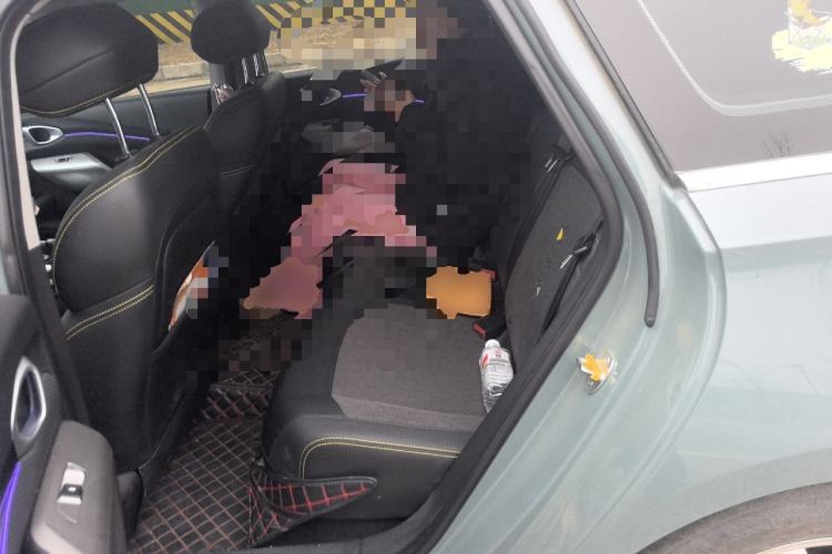 Used Baojun Valli 2021 1.5T Yili Pasture CVT Luxury Model Left Rear Seat