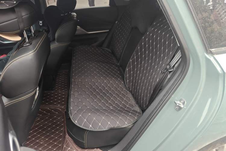 Used Baojun Valli 2021 1.5T Yili Pasture CVT Luxury Model Left Rear Seat