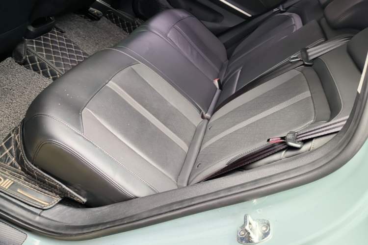 Used Baojun Valli 2021 1.5T Naqu Starry Sky CVT Flagship Model Left Rear Seat
