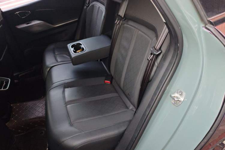 Used Baojun Valli 2021 1.5T Naqu Starry Sky CVT Flagship Model Left Rear Seat