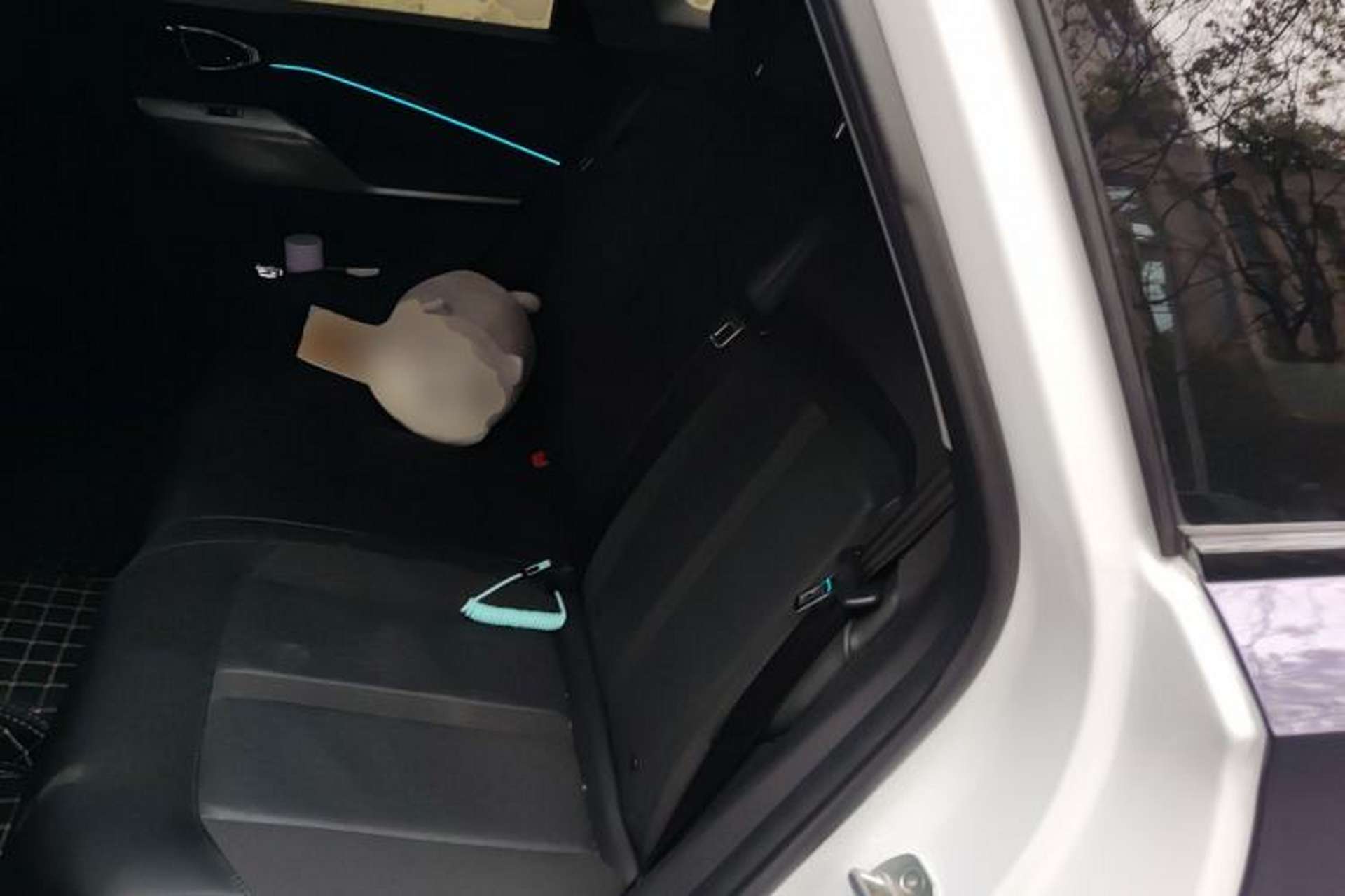Used Baojun Valli 2021 1.5T Naqu Starry Sky CVT Flagship Model Left Rear Seat