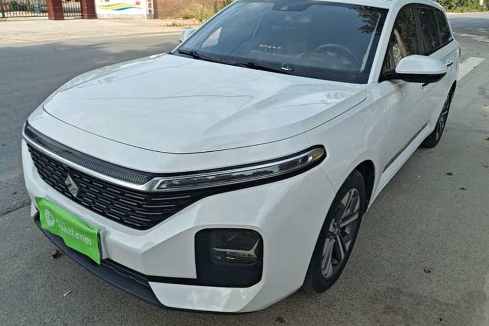 Baojun Valli 2021