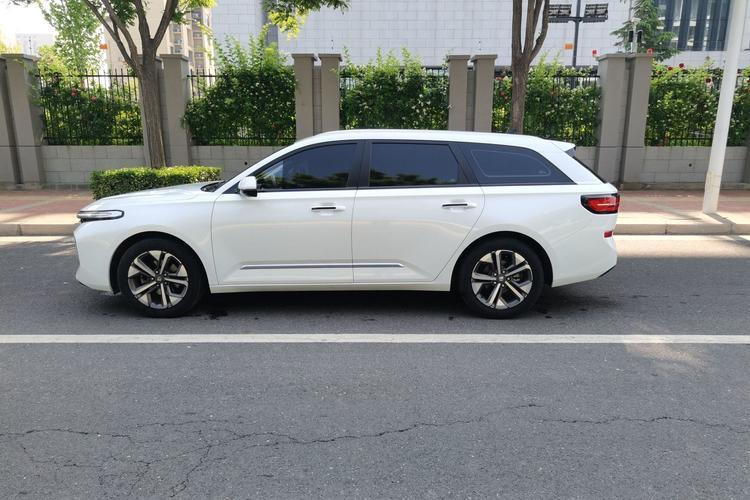 Used Baojun Valli 2021 1.5T Naqu Starry Sky CVT Flagship Model Exterior 5