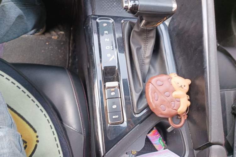 Used Baojun Valli 2021 1.5T Yili Pasture CVT Luxury Model Gear Lever