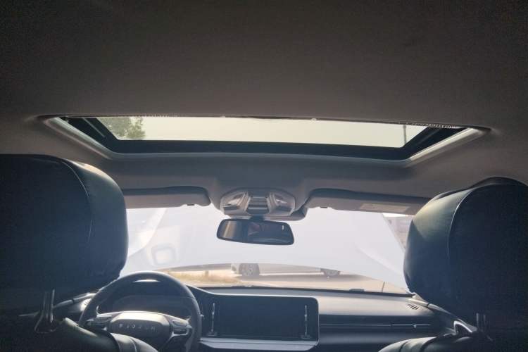 Used Baojun Valli 2021 1.5T Yili Pasture CVT Luxury Model Headliner