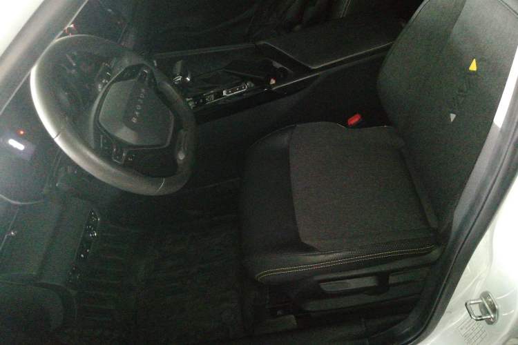 Used Baojun Valli 2021 1.5T Yili Pasture CVT Luxury Model Left Front Seat
