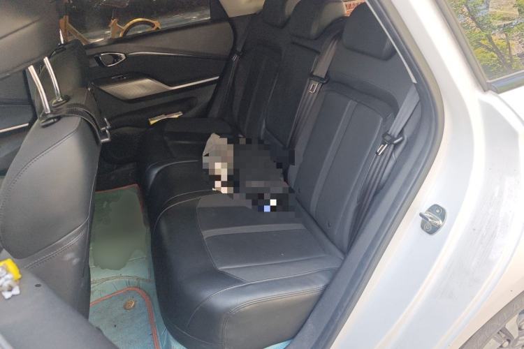 Used Baojun Valli 2021 1.5T Naqu Starry Sky CVT Flagship Model Left Rear Seat