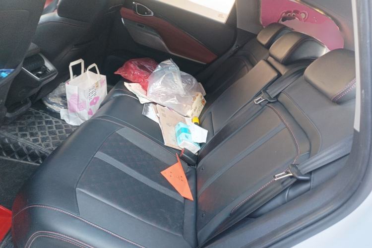 Used Baojun Valli 2021 1.5T Yili Pasture CVT Luxury Model Left Rear Seat