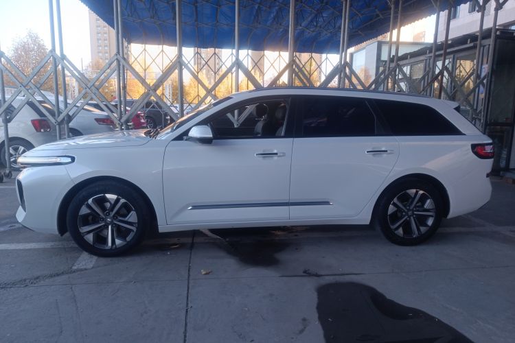 Used Baojun Valli 2021 1.5T Naqu Starry Sky CVT Flagship Model Left Side
