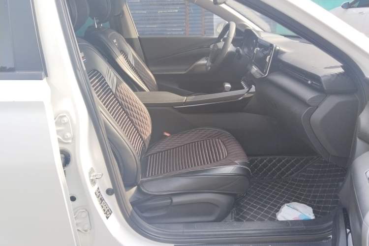 Used Baojun Valli 2021 1.5T Yili Pasture CVT Luxury Model Right Front Seat