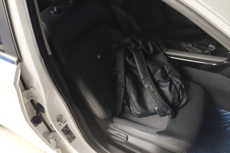 Used Baojun Valli 2021 1.5T Yili Pasture CVT Luxury Model Right Front Seat