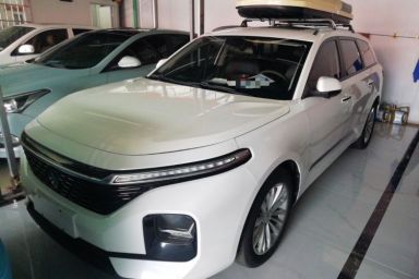 Used Baojun Valli 2021 1.5T Yili Pasture CVT Luxury Model