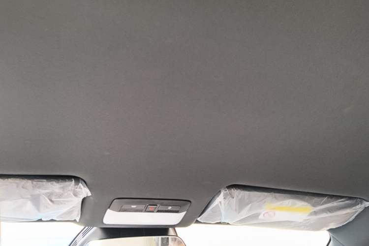 Used Baojun Yunhai 2024 500km Pure Electric Version Headliner