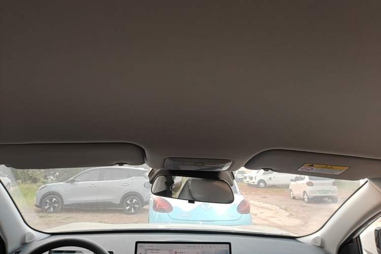 Used Baojun Yunhai 2024 600km Pure Electric Version Headliner