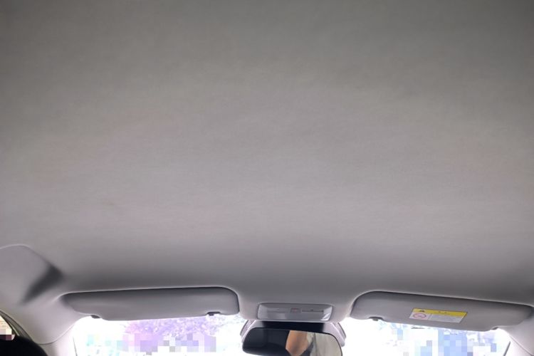 Used Baojun Yunhai 2024 500km Pure Electric Version Headliner
