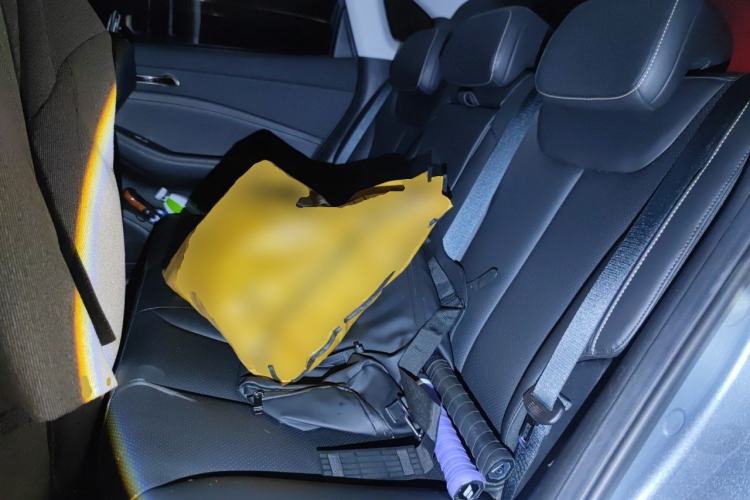 Used Baojun Yunhai 2024 60km Plug-in Hybrid Version Left Rear Seat