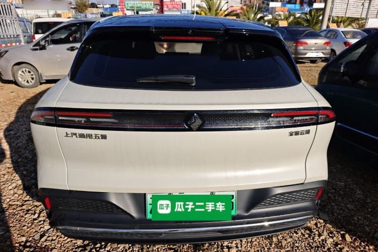 Used Baojun Yunhai 2024 600km Pure Electric Version Rear