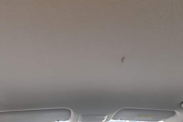Used Baojun Yunhai 2024 500km Pure Electric Version Headliner
