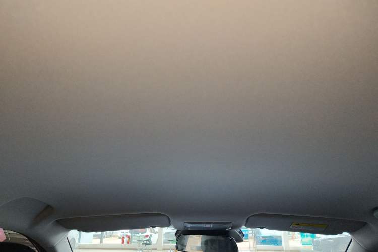 Used Baojun Yunhai 2024 500km Pure Electric Version Headliner
