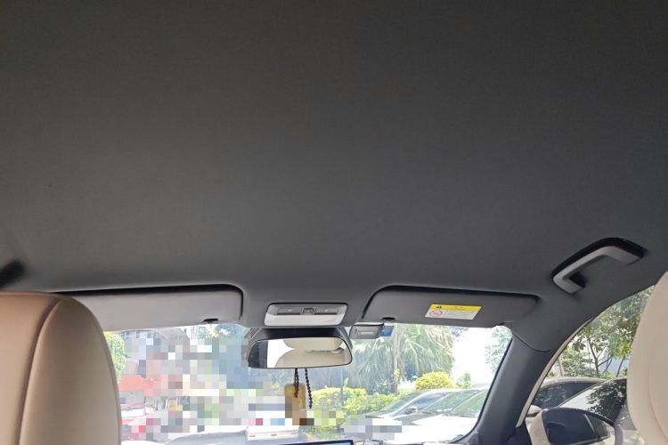 Used Baojun Yunhai 2024 600km Pure Electric Version Headliner