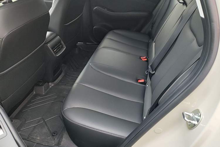 Used Baojun Yunhai 2024 600km Pure Electric Version Left Rear Seat