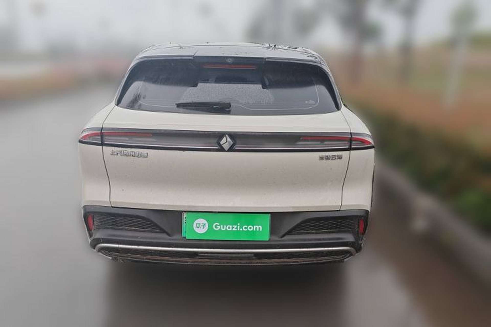 Used Baojun Yunhai 2024 500km Pure Electric Version Rear