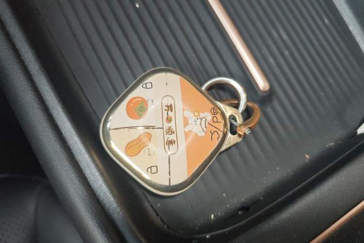 Used Baojun Yunhai 2024 500km Pure Electric Version Vehicle Key