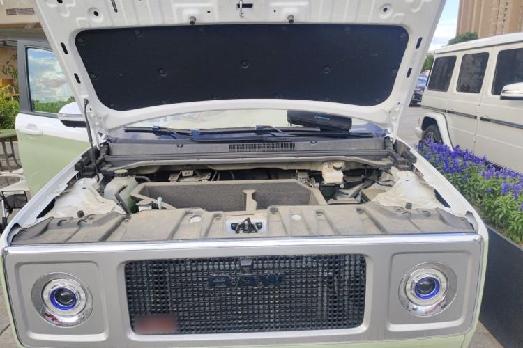 Used BAW Free Kingdom vala 2025 Pure Electric Pro Engine Bay