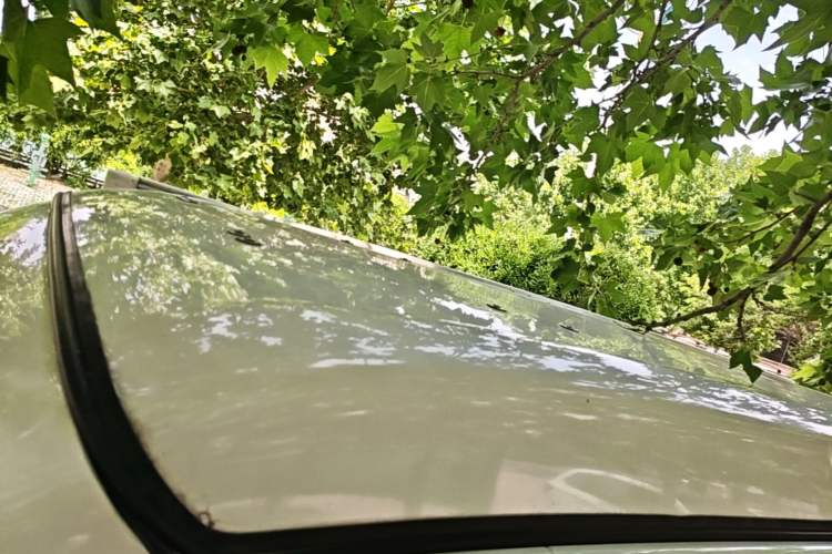Used BAW Free Kingdom vala 2025 Pure Electric Pro Roof