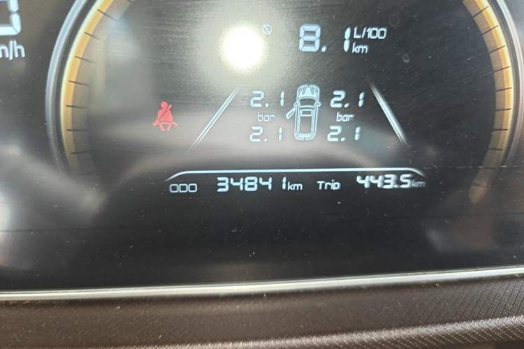 Used BAW Ruisheng Ace M7 2023 1.6L Long Wheelbase Wealth Creation Version 5 Seats Odometer Close Up